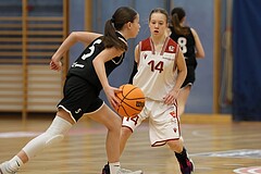 Basketball Superliga 2024/25, SLWU14 Traiskirchen Lionesses vs. ATUS Gratkorn Scorpions


