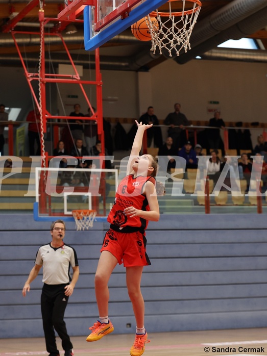 Basketball Superliga 2024/25, SLWU14 Traiskirchen Lionesses vs. UBI Graz


