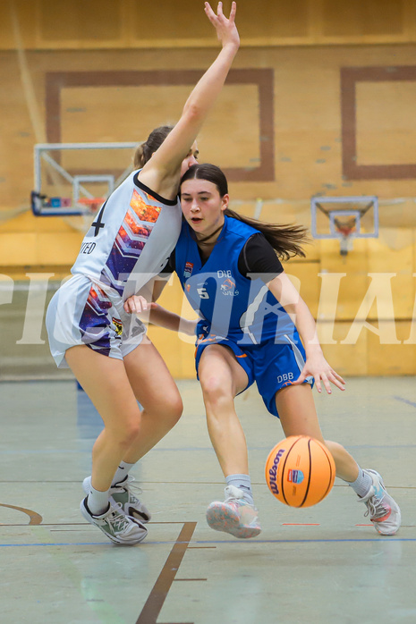 Basketbal lAustria Cup 2024/25, Viertelfinale Vienna United vs. DBB Wels


