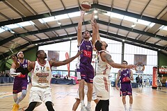 Basketball ABL 2018/19, Grunddurchgang 27.Runde D.C. Timberwolves vs. BC Vienna


