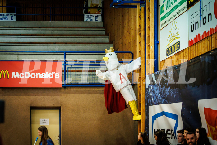 Basketball, Basketball Austria Cup 2022/23, Damen Finale, UBI Graz, BK Raiffeisen Duchess, #mascot