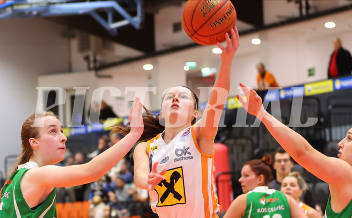Basketball Damen Superliga 2022/23, Grunddurchgang 9.Runde BK Duchess Klosterneuburg vs. KOS Celovec


