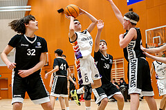 08.03.2025 Österreichischer Basketballverband 2024/25, SLMU14, SU Döbling vs. BBC Nord Dragonz