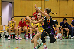 Basketball Damen Superliga 2023/24, Grunddurchgang 3.Runde Vienna United vs. SKN St.Pölten


