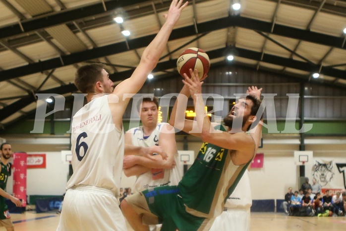 Basketball 2.Bundesliga 2016/17, Grundurchgang 19.Runde D.C. Timberwolves vs. Dornbild Lions


