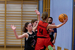 Basketball Superliga 2024/25, SLWU14 Traiskirchen Lionesses vs. Gratkorn Scorpions


