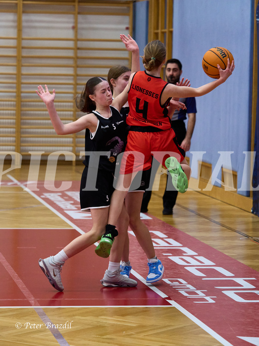 Basketball Superliga 2024/25, SLWU14 Traiskirchen Lionesses vs. Gratkorn Scorpions


