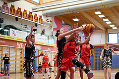 Basketball Superliga 2024/25, SLMU16 Traiskirchen Lionesses vs. VKL Vikings Kammer


