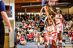 Basketball, win2day Basketball Superliga 2024/25, Grunddurchgang 9.Runde, Traiskirchen Lions, Gmunden Swans, 