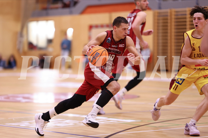 Basketball Zweite Liga 2024/25, Grunddurchgang 9.Runde Mistelbach Mustangs vs. Trasikirchen NextGen


