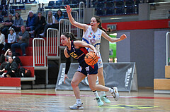 Basketball Superliga 2023/24, Grunddurchgang 13.Runde, DBB LZ OÖ vs SKN St. Pölten

