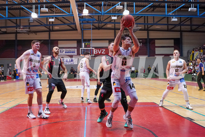 Basketball 2. Liga 2022/23, Finale Spiel 2, Guessing Blackbirds vs. Mistelbach Mustangs