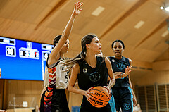 23.02.2025 Österreichischer Basketballverband 2024/25, SLWU14 Vienna United vs. Vienna Timberwolves