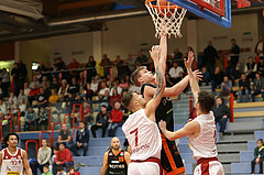 Basketball Austria Cup 2022/23, Achtelfinale Traiskirchen Lions vs. Fürstenfeld Panthers


