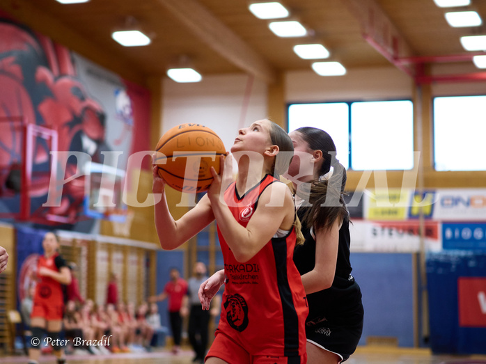 Basketball Superliga 2024/25, SLWU14 Traiskirchen Lionesses vs. Gratkorn Scorpions


