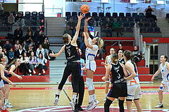 Basketball Superliga 2023/24, Grunddurchgang 11.Runde,DBB LZ OÖ vs Vienna United,