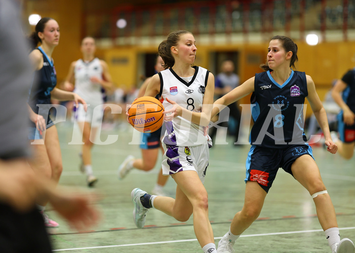 Basketball Damen Superliga 2024/25, Grunddurchgang 6.Runde Vienna United vs. Vienna Timberwolves


