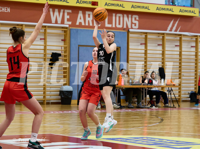 Basketball Superliga 2024/25, SLWU16 Traiskirchen Lionesses vs. BBC Nord Dragons


