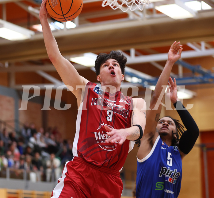 Basketball Zweite Liga 2024/25, Playoffs, Viertelfinale Spiel 1 Mistelbach Mustangs vs. Kufstein Towers