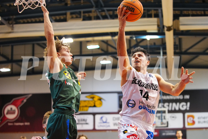 Basketball 2. Liga 2023/24, Grunddurchgang 15.Runde , Güssing  vs. Dornbirn



