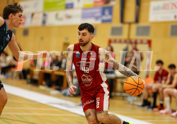 Basketball Zweite Liga 2024/25, Grunddurchgang 15.Runde Mistelbach Mustangs vs. Vienna Timberwolves