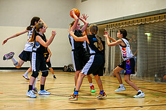23.11.2024 Österreichischer Basketballverband 2024/25, SLWU14, Vienna United vs. VKL Vikings Swans

