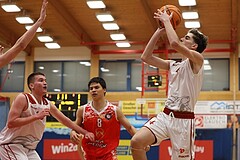 Basketball Superliga 2024/25, SLMU16 Traiskirchen Lions vs. BC Vienna


