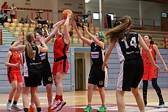 Basketball Superliga 2024/25, SLWU16 Traiskirchen Lionesses vs. DBK Steyrer Witch Cadets



