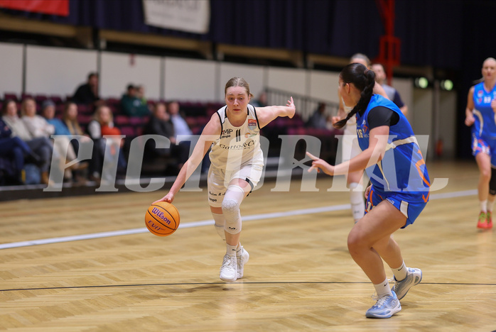 Basketball Damen Superliga 2023/24, Grunddurchgang 11.Runde Basket Flames vs. DBB Wels


