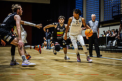 Basketball, Basketball Zweite Liga 2023/24, Grunddurchgang 1.Runde, Basket Flames, Mattersburg Rocks, Julian Alper (10), Yann Grandperret (3)
