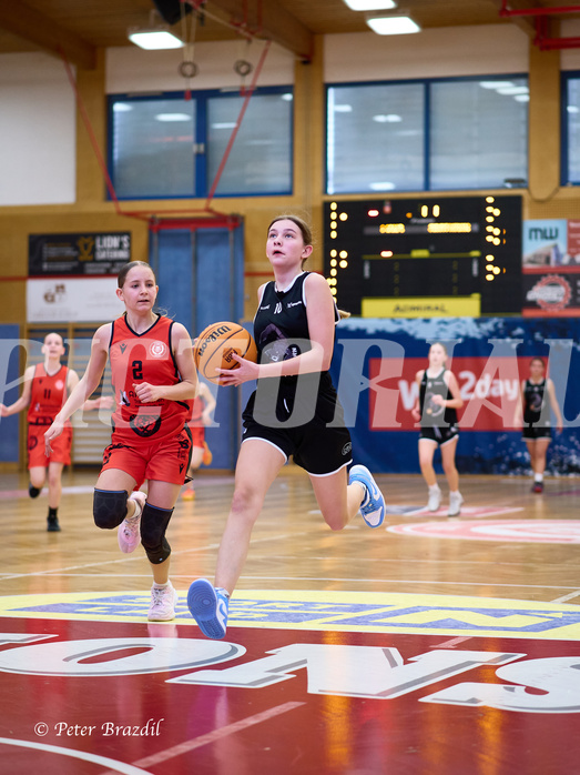 Basketball Superliga 2024/25, SLWU14 Traiskirchen Lionesses vs. Gratkorn Scorpions


