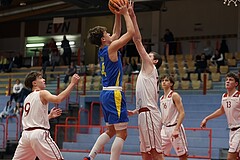 Basketball Superliga 2024/25, SLMU16 Traiskirchen Lions vs. St. Pölten


