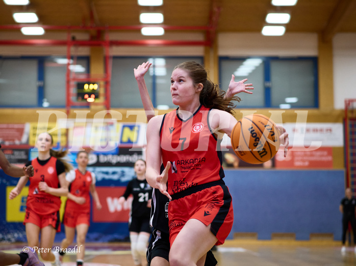 Basketball Superliga 2024/25, SLWU16 Traiskirchen Lionesses vs. BBC Nord Dragons


