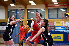 Basketball Superliga 2024/25, SLWU16 Traiskirchen Lionesses vs. BBC Nord Dragons


