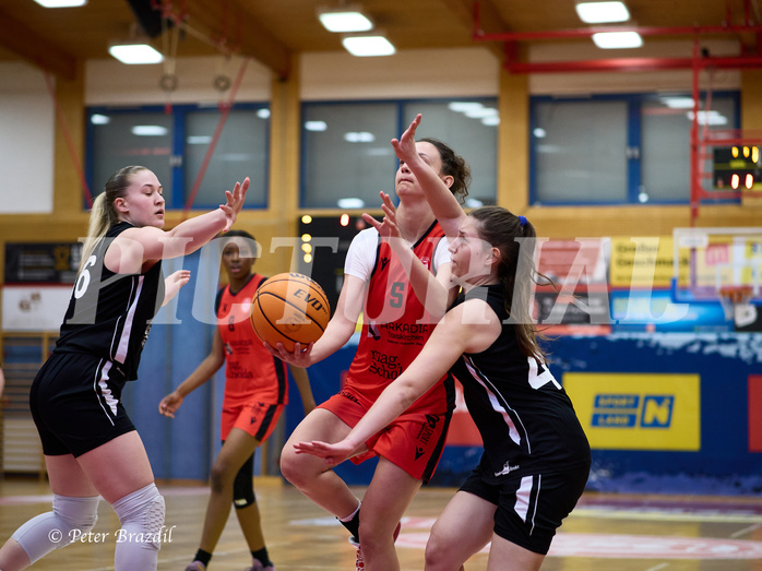 Basketball Superliga 2024/25, SLWU16 Traiskirchen Lionesses vs. BBC Nord Dragons


