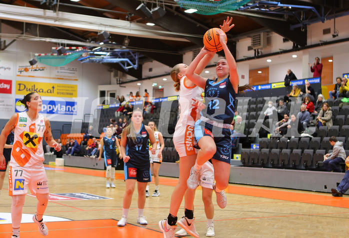 Basketball Austria Cup 2023/24, Viertelfinale BK Duchess Klosterneuburg vs. Vienna Timberwolves


