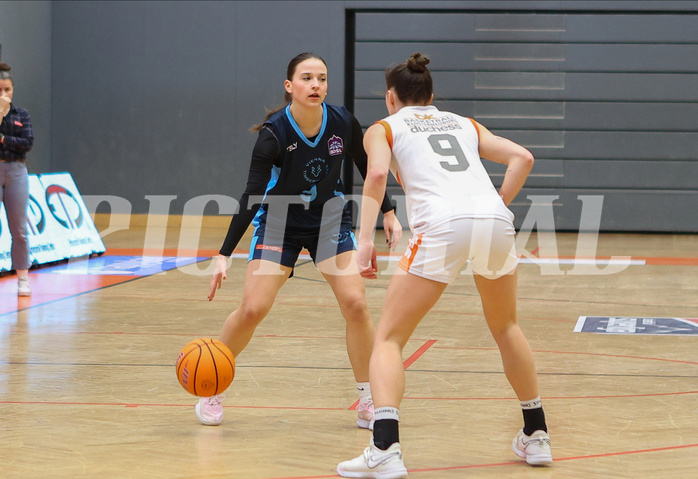 Basketball Damen Supercup 2024/25, 4.Runde BK Duchess Klosterneuburg vs. Vienna Timberwolves


