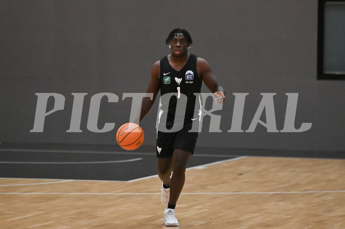 Basketball Zweite Liga 2024/25,Grunddurchgang
14.Runde, Upper Austrian Ballers vs Raiders Tirol,

