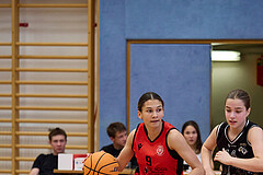 Basketball Superliga 2024/25, SLMU16 Traiskirchen Lionesses vs. VKL Vikings Kammer


