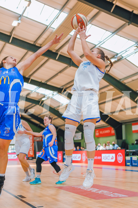 Basketball Basketball Superliga 2020/21, Grunddurchgang 2.Runde D.C. Timberwolves vs. DBB Linz
