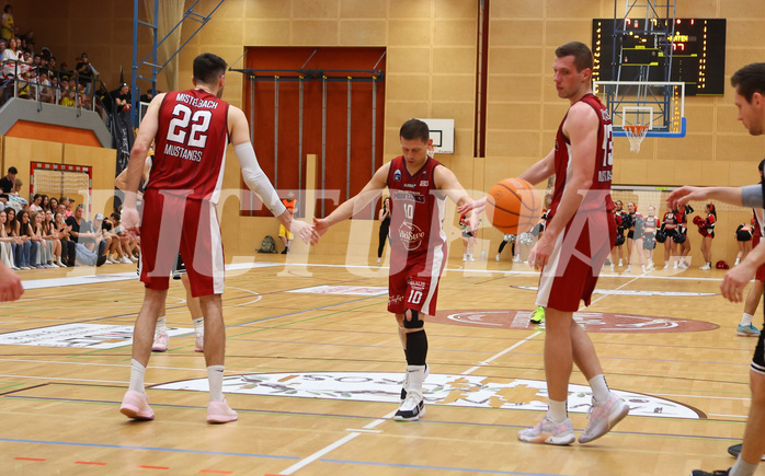 Basketball Zweite Liga 2024/25, Playoffs, Finale Spiel 3 Mistelbach Mustangs vs. Wörthersee Piraten
Basketball Zweite Liga 2024/25, Playoffs, Finale Spiel 3 Mistelbach Mustangs vs. Wörthersee Piraten