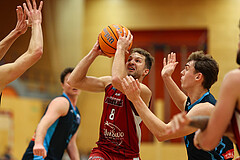 Basketball Zweite Liga 2024/25, Grunddurchgang 15.Runde Mistelbach Mustangs vs. Vienna Timberwolves


