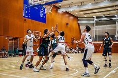 Basketball, Basketball Zweite Liga 2024/25, Grunddurchgang 12.Runde, Vienna Timberwolves, Dornbirn Lions, 