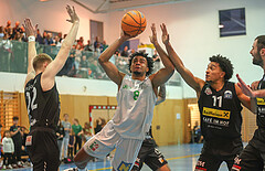 Basketball Zweite Liga 2024/25, Grunddurchgang 9.Runde Union Deutsch Wagram Aligators vs. Mattersburg Rocks


