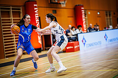 Basketball, Win2Day Basketball Damen Superliga 2024/25, Supercup 5. Runde, Vienna Timberwolves, DBB Wels, Ivona Pilic (15)