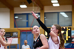 Basketball Superliga 2024/25, SLWU14 Traiskirchen Lionesses vs. DBK Steyrer Witches



