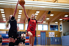 Basketball Superliga 2024/25, SLWU14 Traiskirchen Lionesses vs. Gratkorn Scorpions


