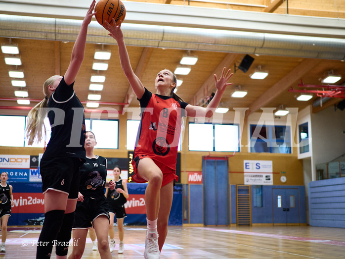 Basketball Superliga 2024/25, SLWU14 Traiskirchen Lionesses vs. Gratkorn Scorpions


