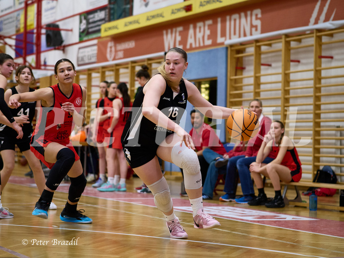 Basketball Superliga 2024/25, SLWU16 Traiskirchen Lionesses vs. BBC Nord Dragons


