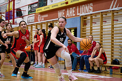 Basketball Superliga 2024/25, SLWU16 Traiskirchen Lionesses vs. BBC Nord Dragons


